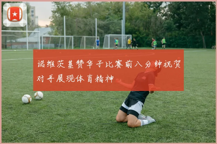 诺维茨基赞华子比赛前八分钟祝贺对手展现体育精神